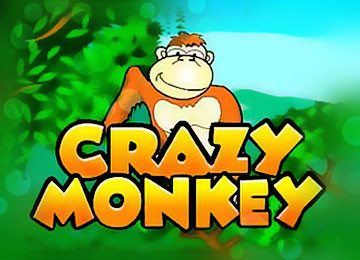Crazy Monkey Slot Machine in Casino